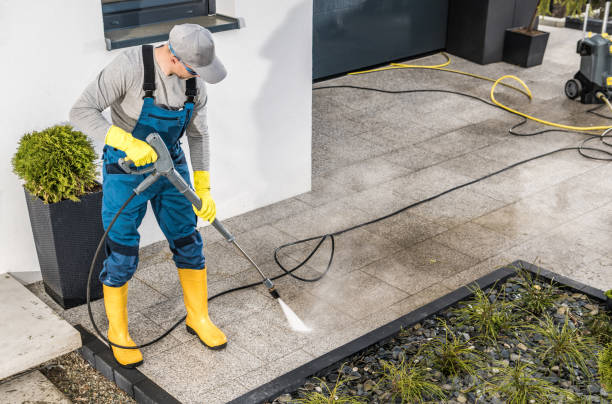 Best Exterior Home Cleaning  in Chicago Heights, IL